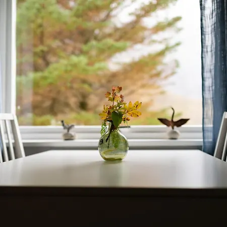 Cozy House By The Fjord In The Heart Of Lofoten Reine